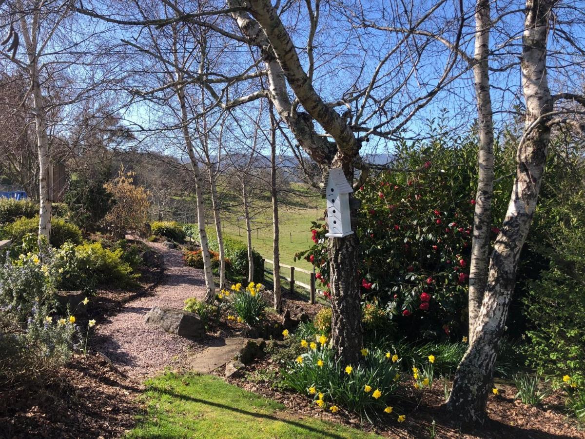 Hotel Mole Creek Hideaway Extérieur photo