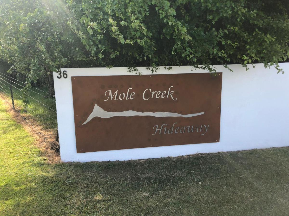 Hotel Mole Creek Hideaway Extérieur photo