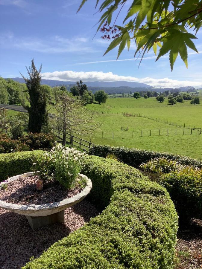 Hotel Mole Creek Hideaway Extérieur photo