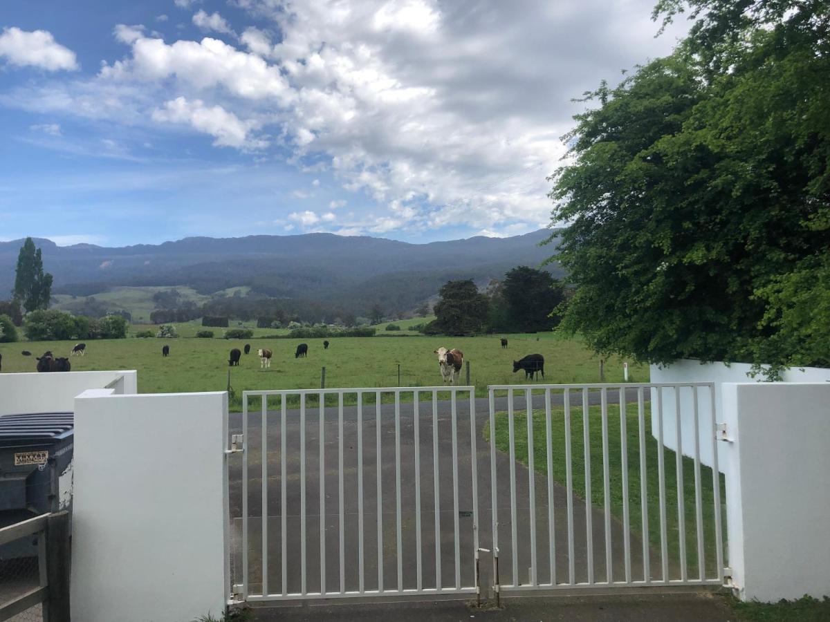 Hotel Mole Creek Hideaway Extérieur photo
